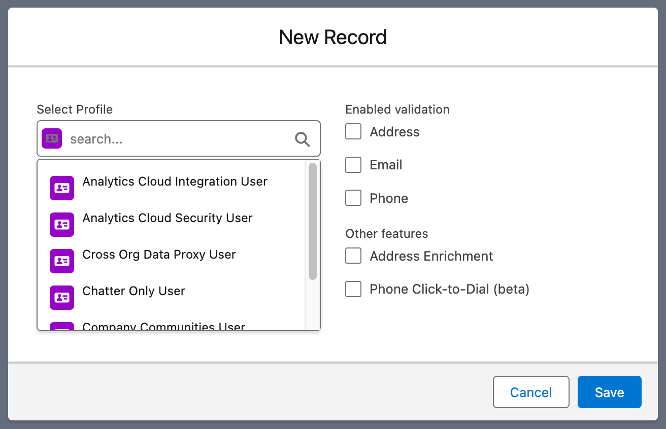 View of new profile record window